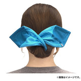 Pokemon Accessory